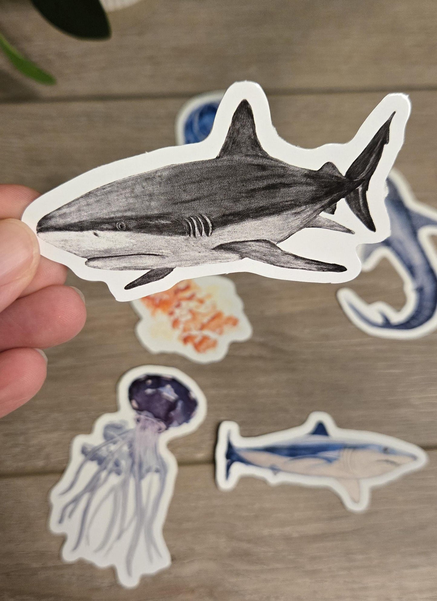 Hand-Drawn Vinyl Watercolor Shark Stickers (3-3.5")- Waterbottle Decals
