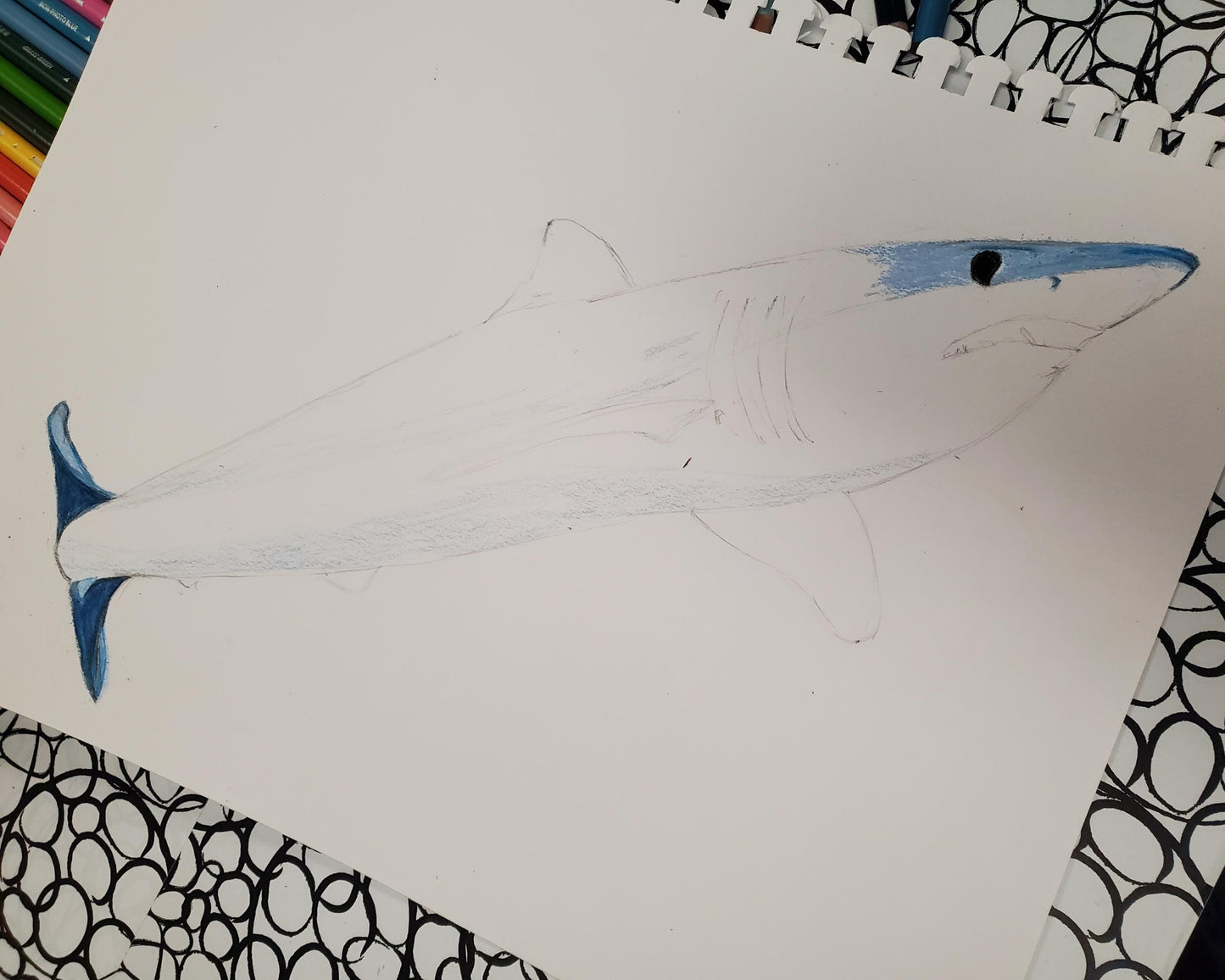 Zippered pouch, cosmetic bag, mako shark