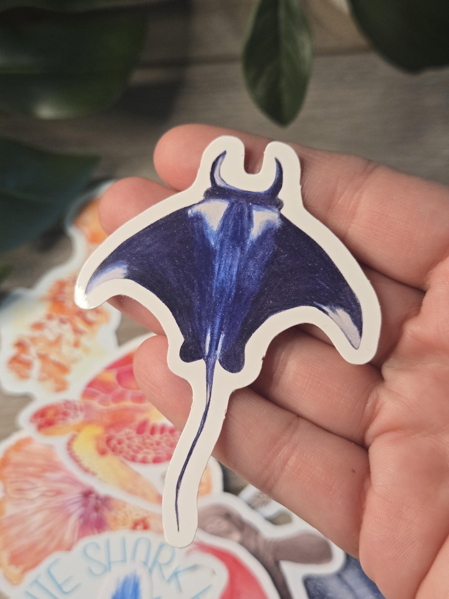 Hand-Drawn Vinyl Manta Ray Sticker (3")- Waterbottle Decal