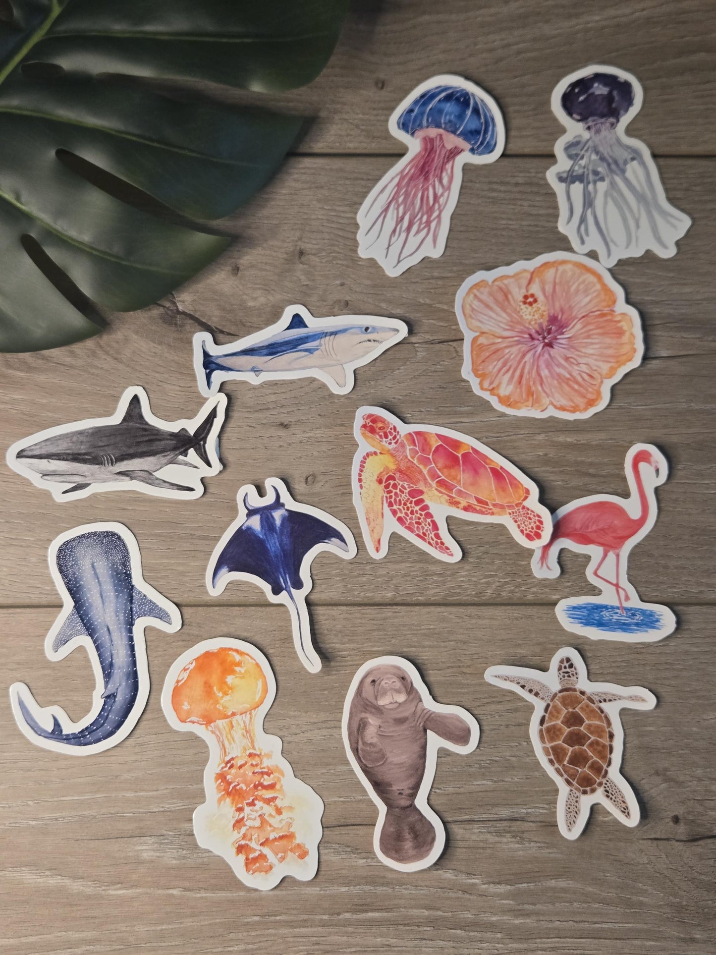 Hand-Painted Vinyl Watercolor Hibiscus Sticker (3.5") Waterbottle  Decal