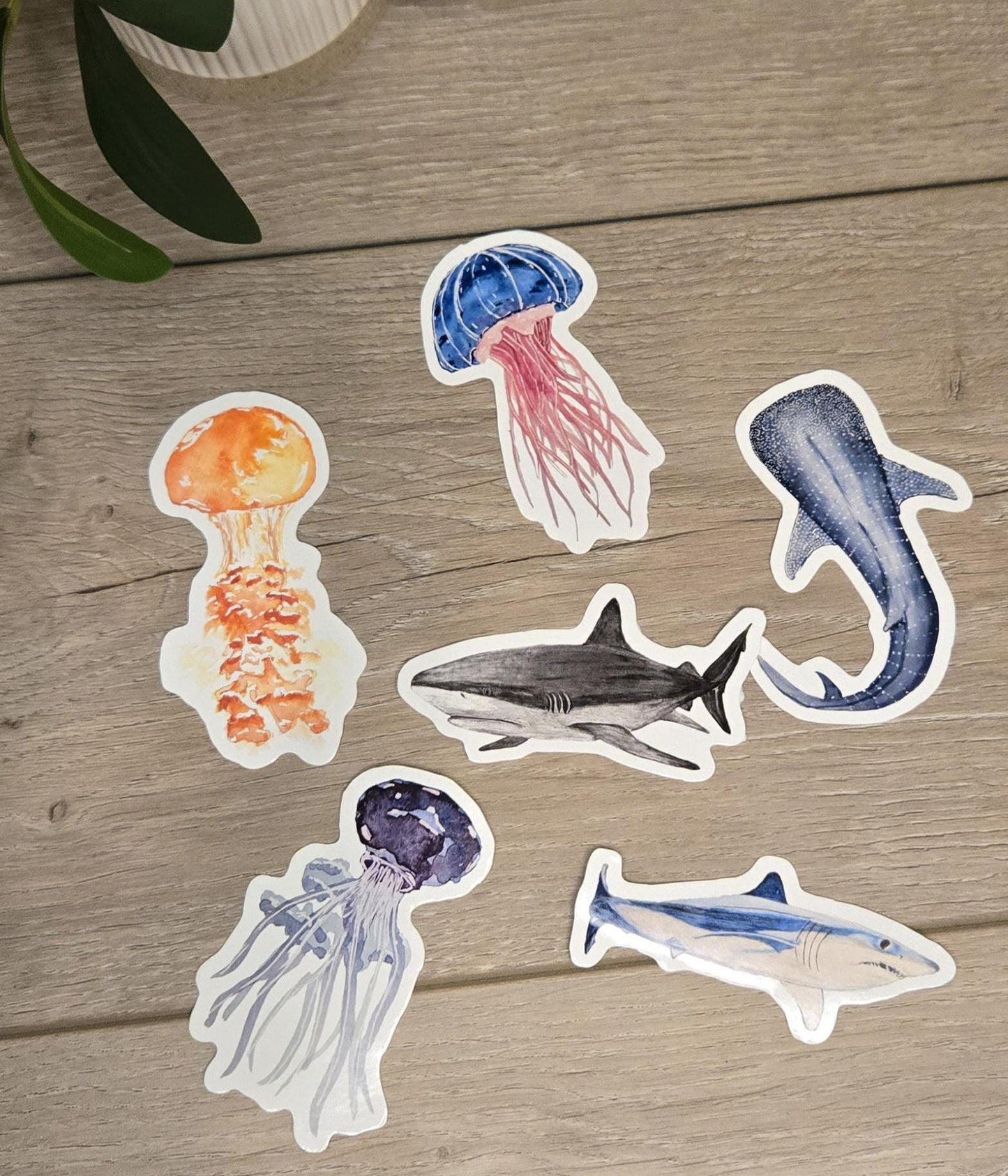 Hand-Drawn Vinyl Watercolor Shark Stickers (3-3.5")- Waterbottle Decals