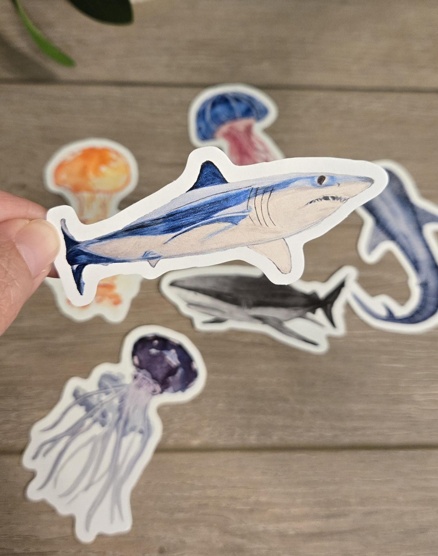 Hand-Drawn Vinyl Watercolor Shark Stickers (3-3.5")- Waterbottle Decals