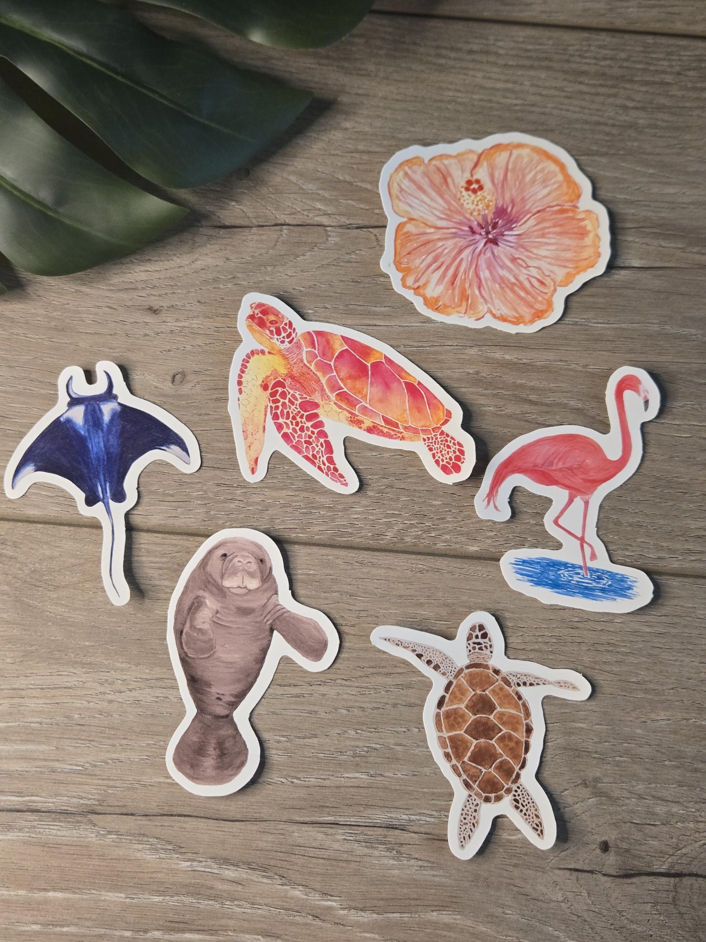 Hand-Painted Vinyl Manatee Sticker (3") – Water Bottle Decal