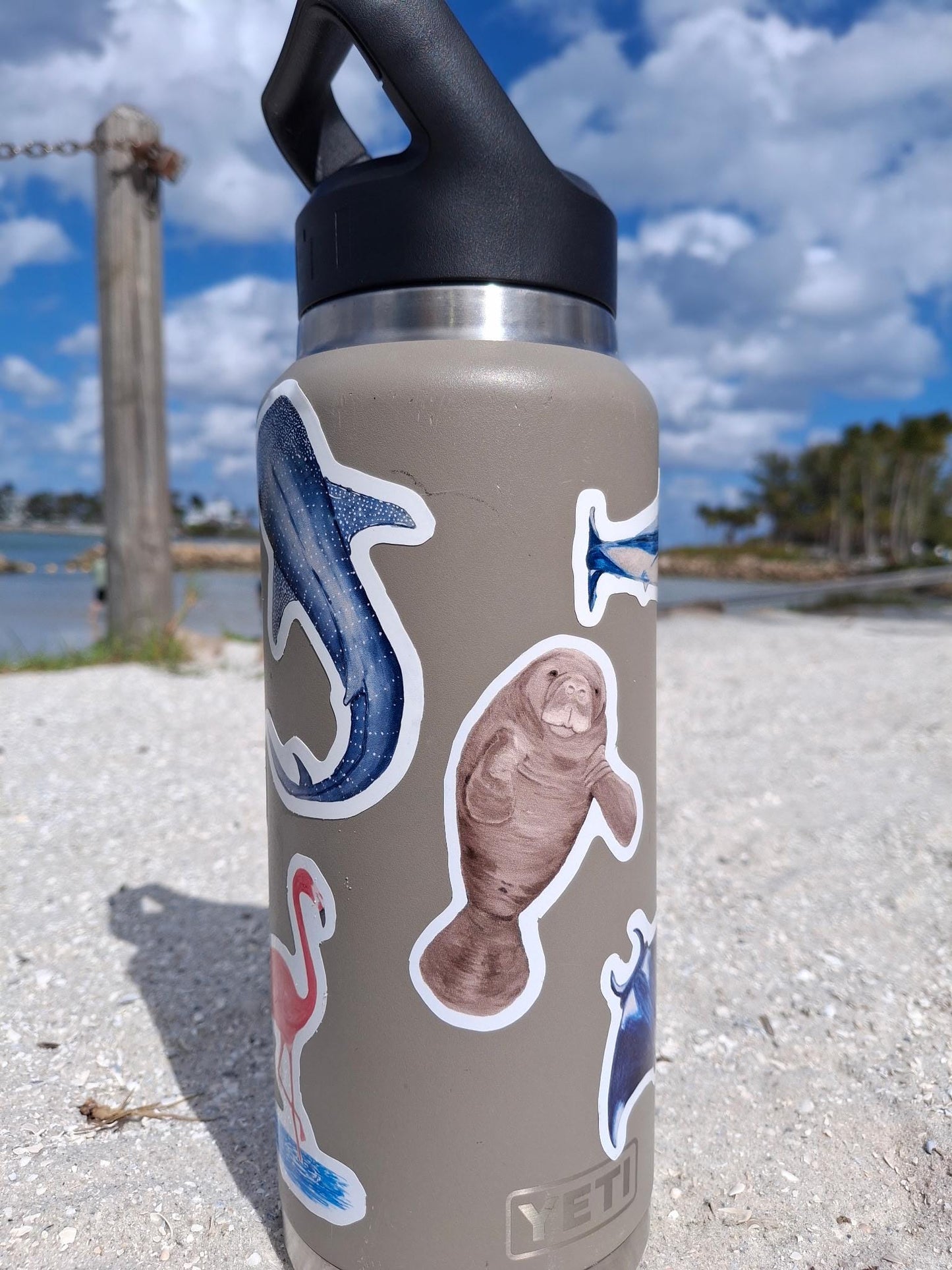 Hand-Painted Vinyl Manatee Sticker (3") – Water Bottle Decal