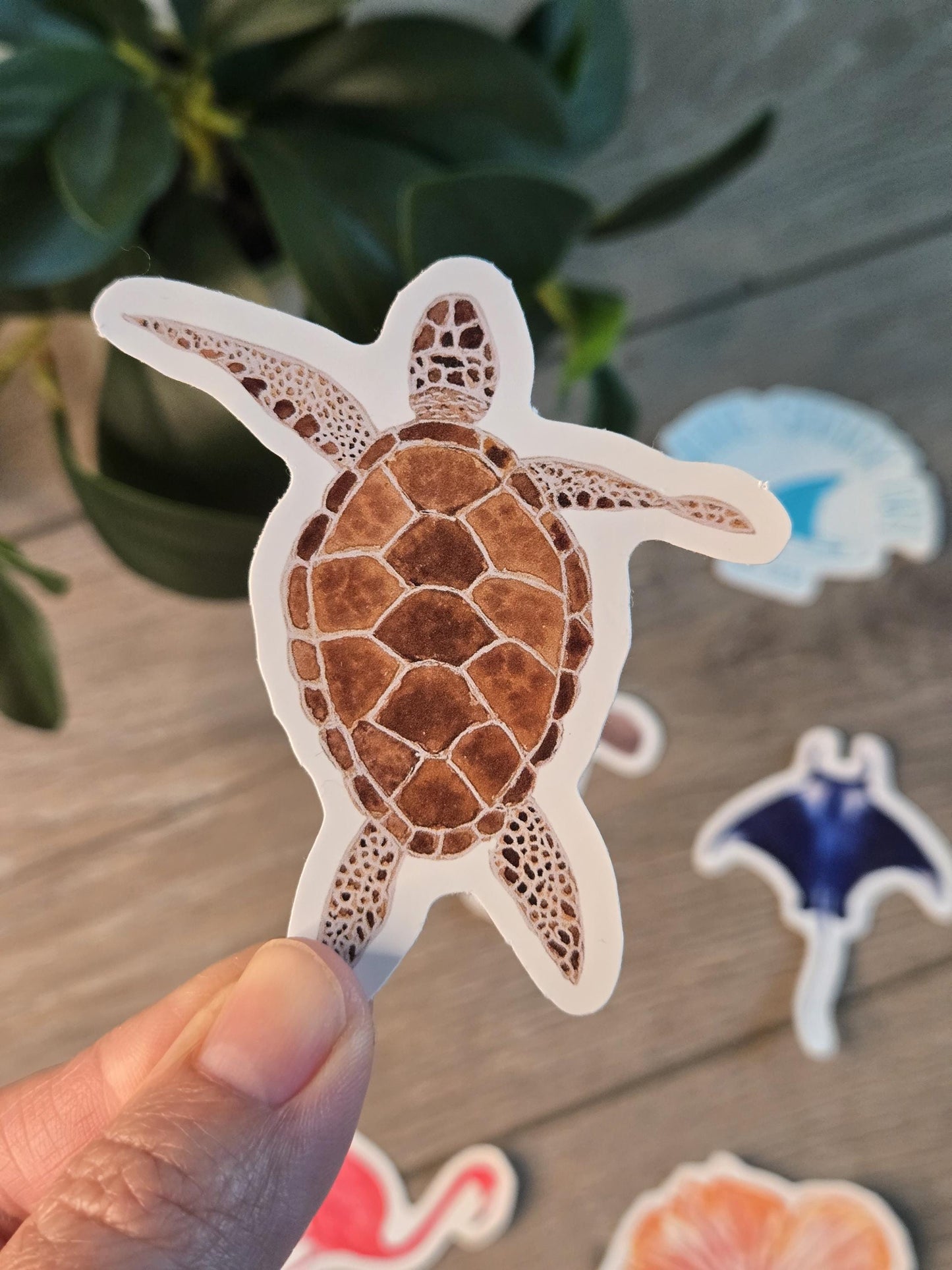 Hand-Painted Viny Watercolor Sea Turtle Stickers (3.5") - Waterbottle Stickers