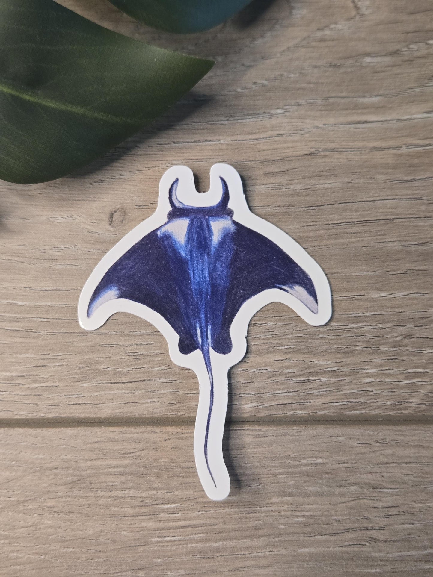 Hand-Drawn Vinyl Manta Ray Sticker (3")- Waterbottle Decal
