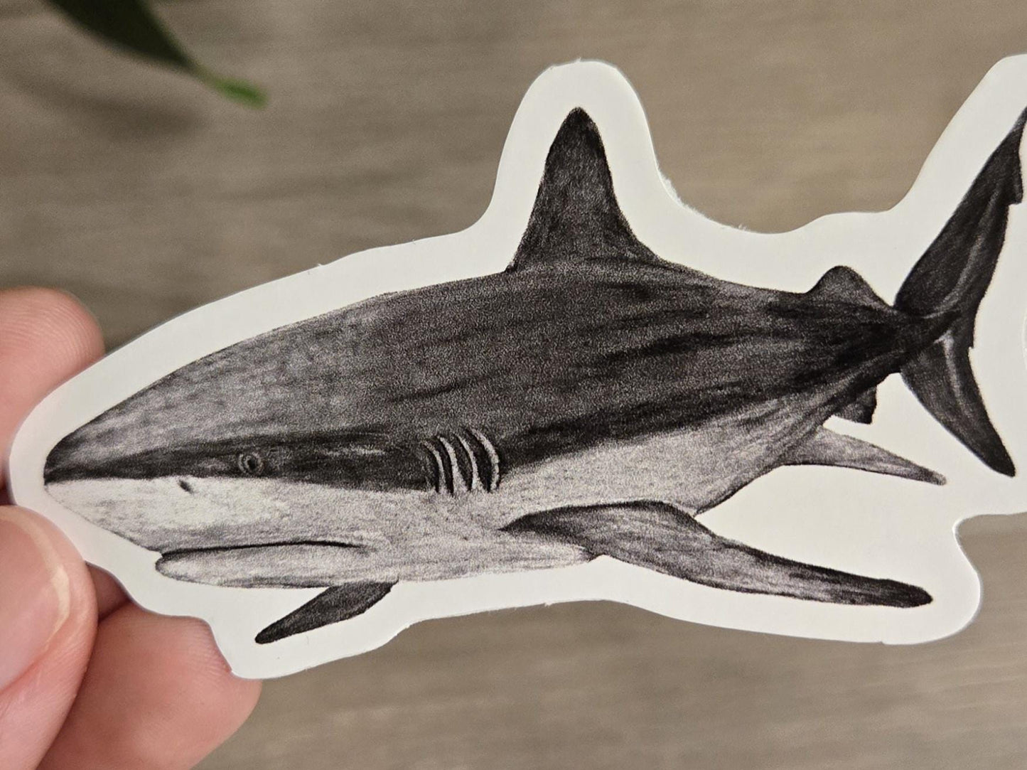 Hand-Drawn Vinyl Watercolor Shark Stickers (3-3.5")- Waterbottle Decals
