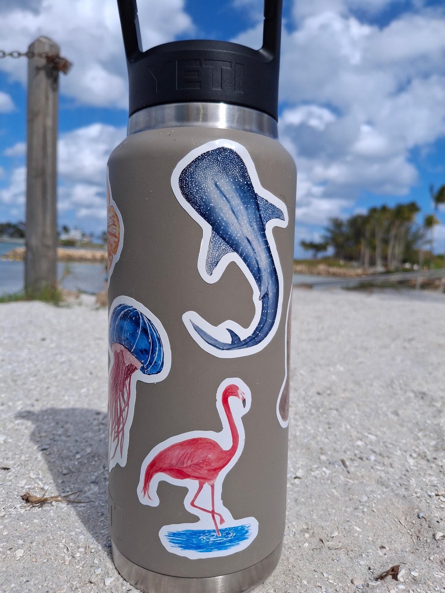 Hand-Drawn Vinyl Watercolor Shark Stickers (3-3.5")- Waterbottle Decals