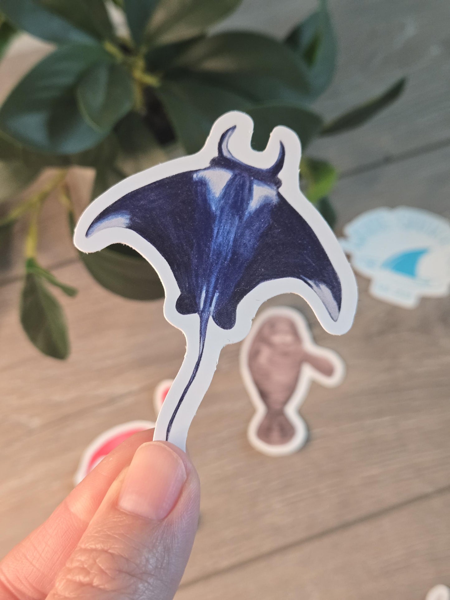 Hand-Drawn Vinyl Manta Ray Sticker (3")- Waterbottle Decal