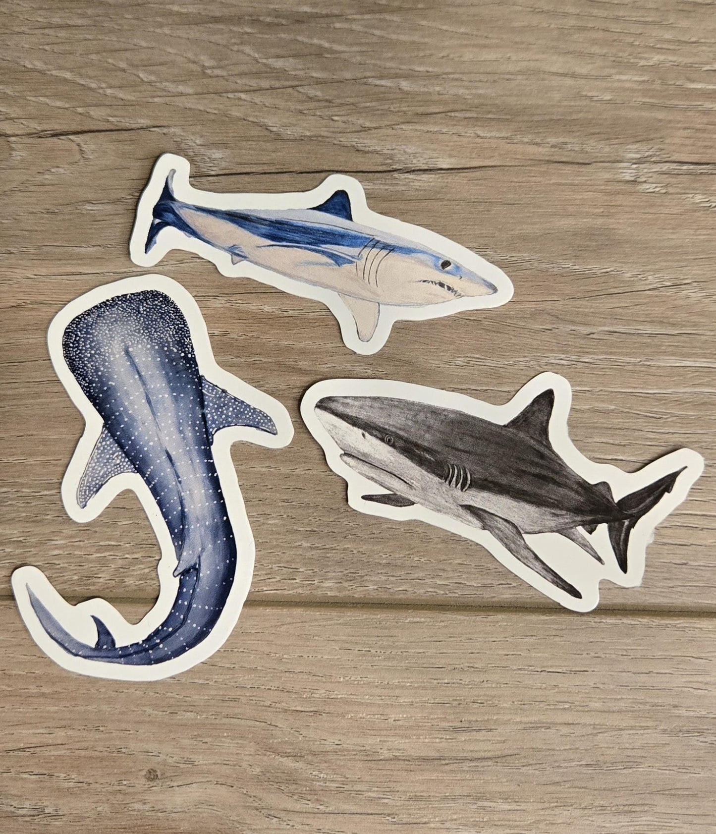 Hand-Drawn Vinyl Watercolor Shark Stickers (3-3.5")- Waterbottle Decals
