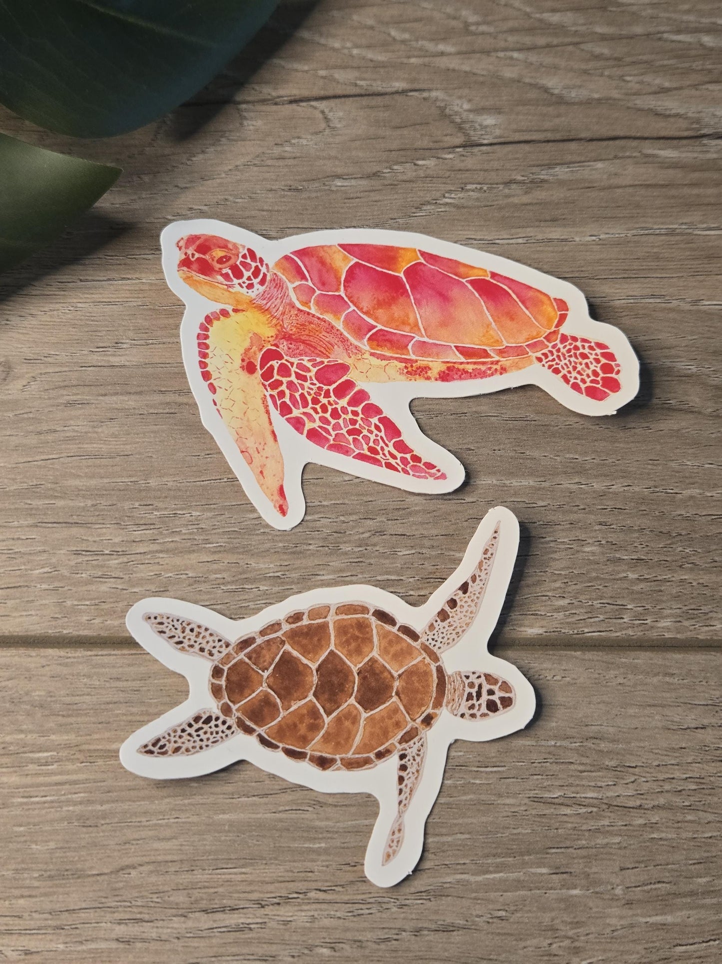 Hand-Painted Viny Watercolor Sea Turtle Stickers (3.5") - Waterbottle Stickers