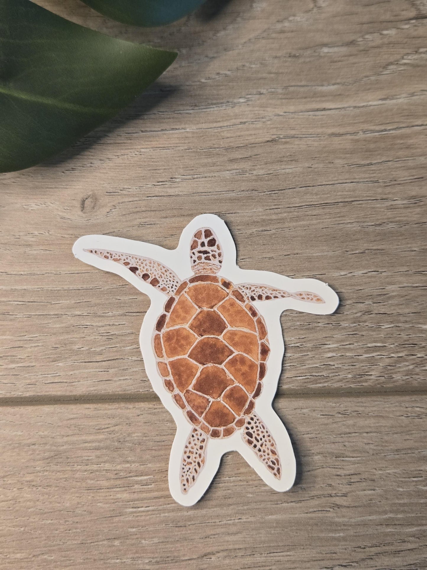 Hand-Painted Viny Watercolor Sea Turtle Stickers (3.5") - Waterbottle Stickers