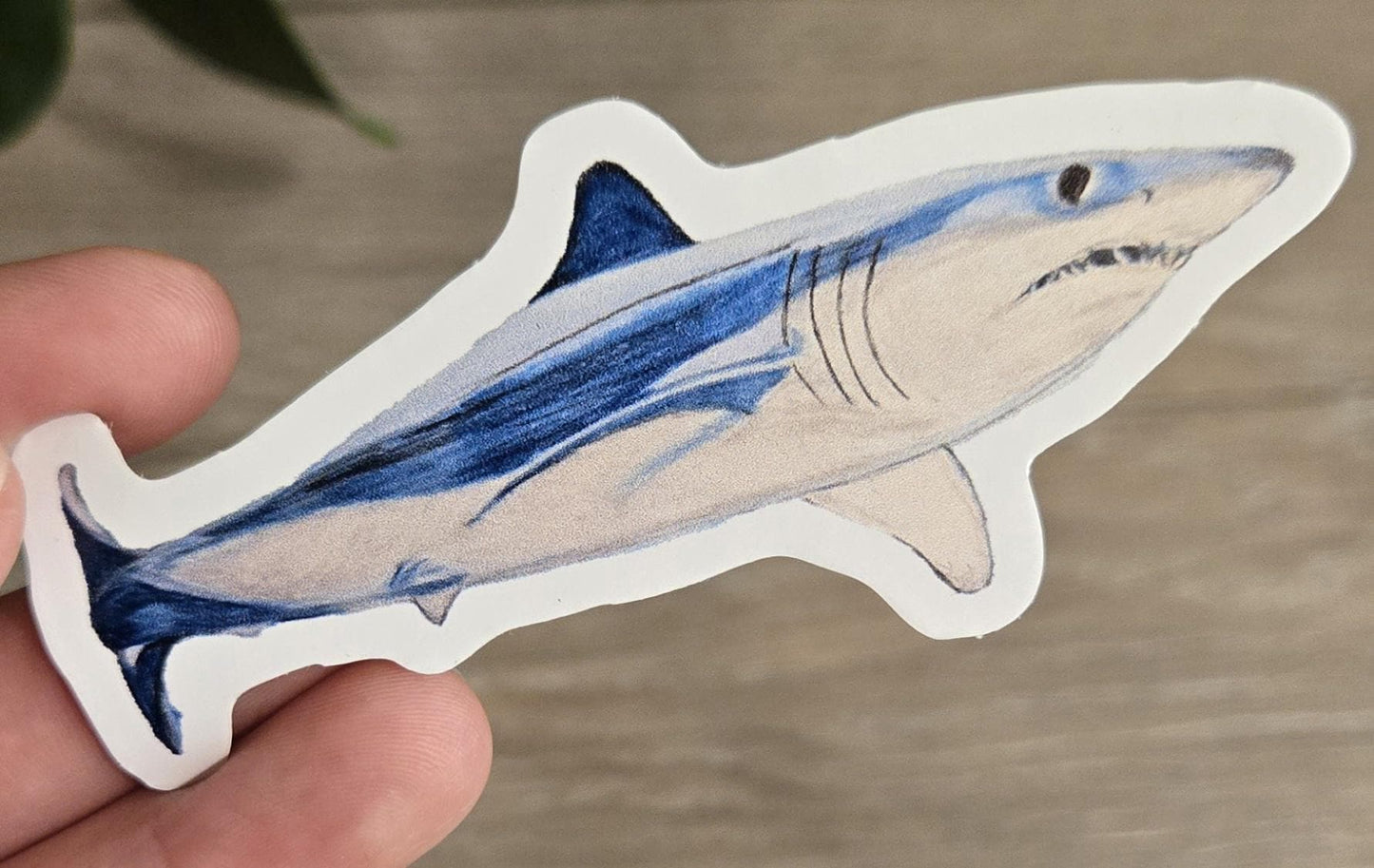 Hand-Drawn Vinyl Watercolor Shark Stickers (3-3.5")- Waterbottle Decals